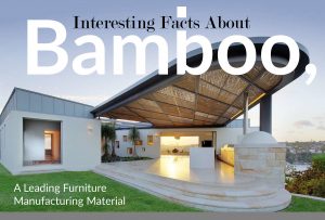 Interesting Facts about Bamboo, a Leading Furniture Manufacturing Material