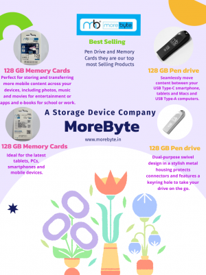 Morebyte Provide A Best Quality Secured Device | Intect