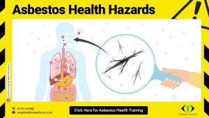 Free Asbestos Health Hazards Infographic